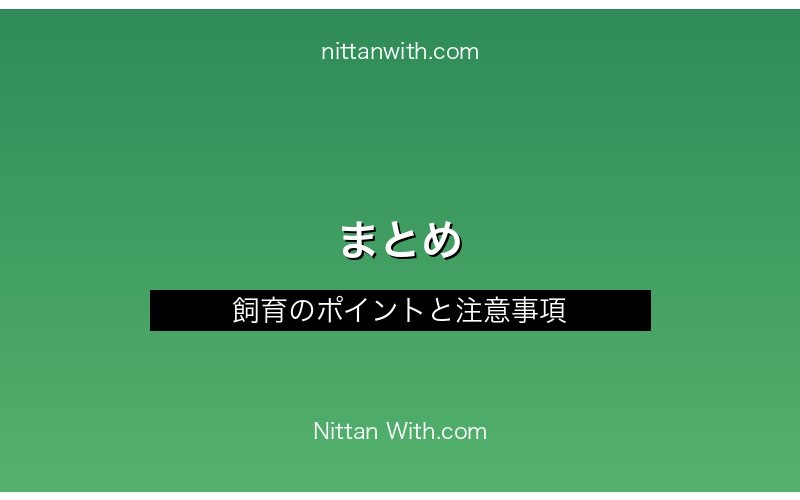ニッポンバラタナゴの混泳・まとめ