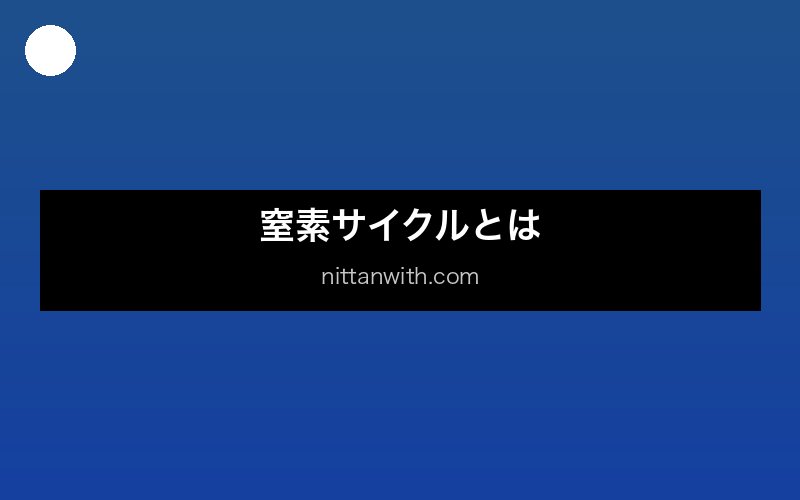 窒素サイクルの概要イメージ