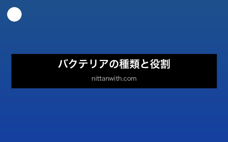 硝化バクテリアのイメージ