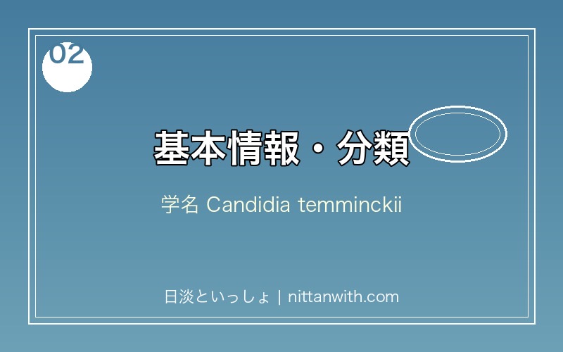 ヌマムツの基本情報・分類・学名