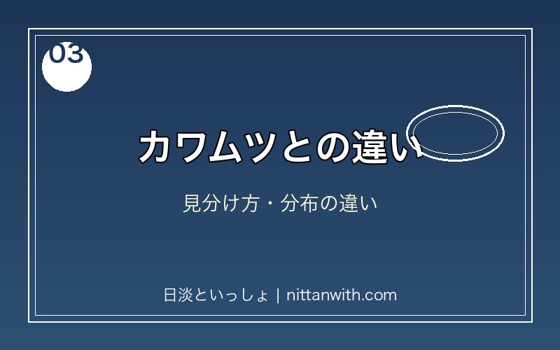 ヌマムツとカワムツの違い・見分け方