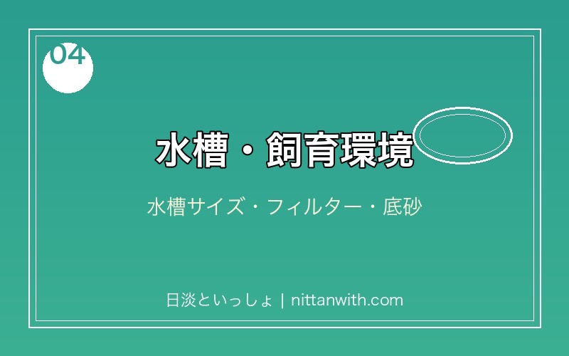 ヌマムツの飼育に必要な水槽・フィルター・底砂