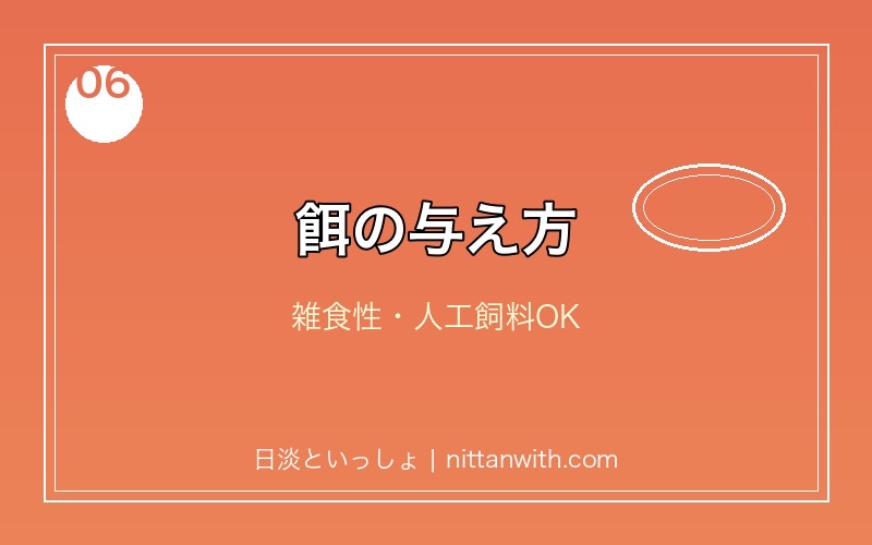 ヌマムツの餌の与え方・人工飼料・冷凍赤虫