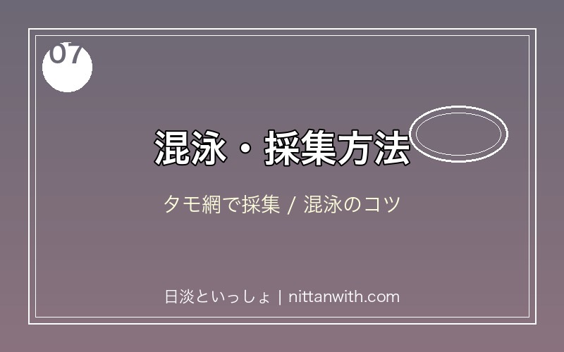 ヌマムツの採集方法・混泳相手の選び方