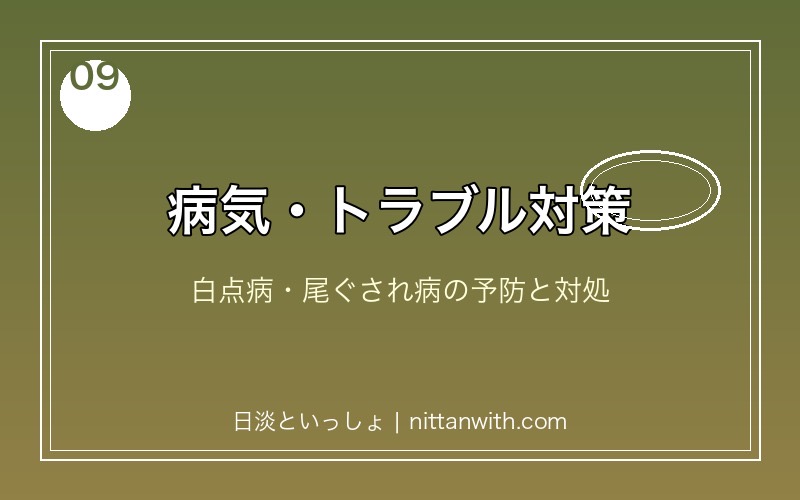 ヌマムツの病気・トラブル対策