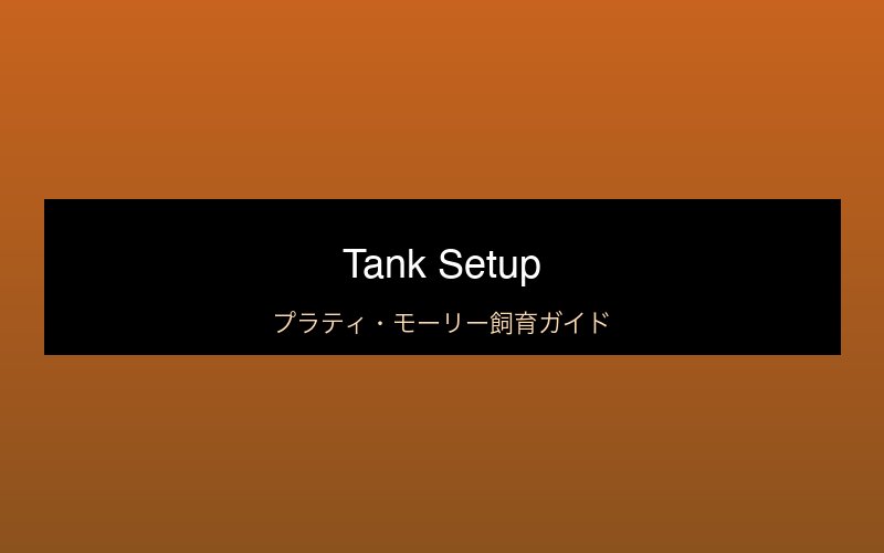 飼育に必要なもの