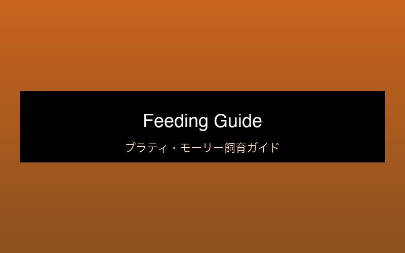 餌の与え方