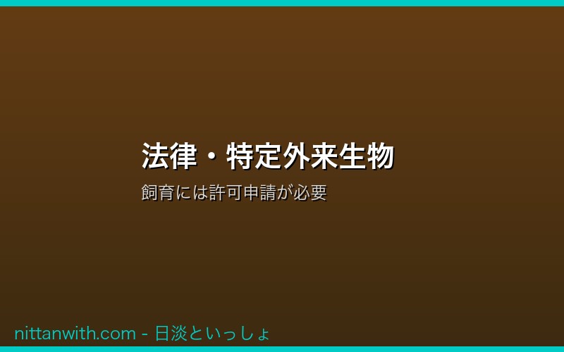特定外来生物・法律の解説