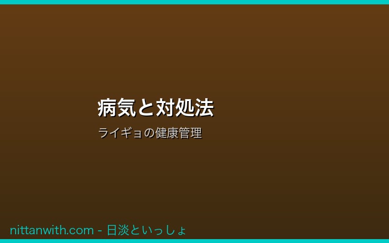 病気と対処法