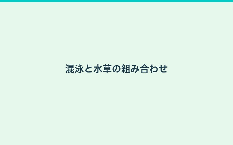 ロタラの混泳と水草の組み合わせ
