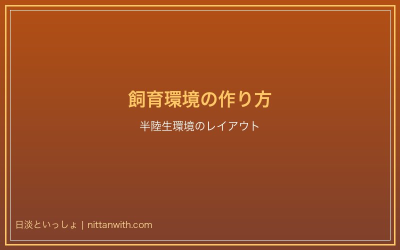 サワガニの飼育環境の作り方