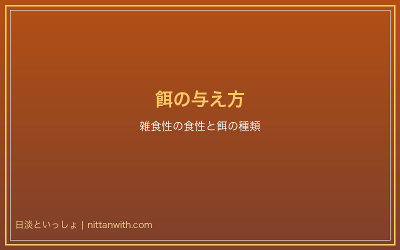 サワガニの餌の与え方