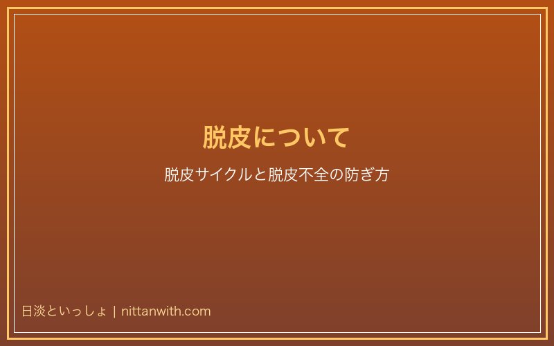 サワガニの脱皮について