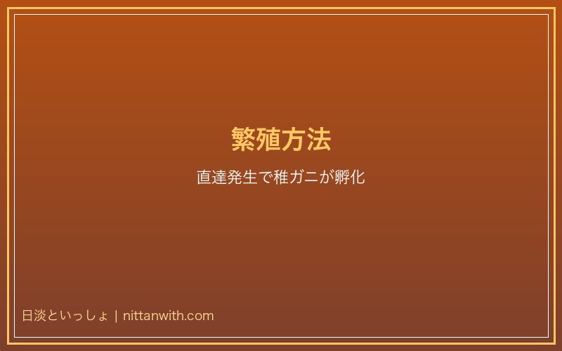サワガニの繁殖方法