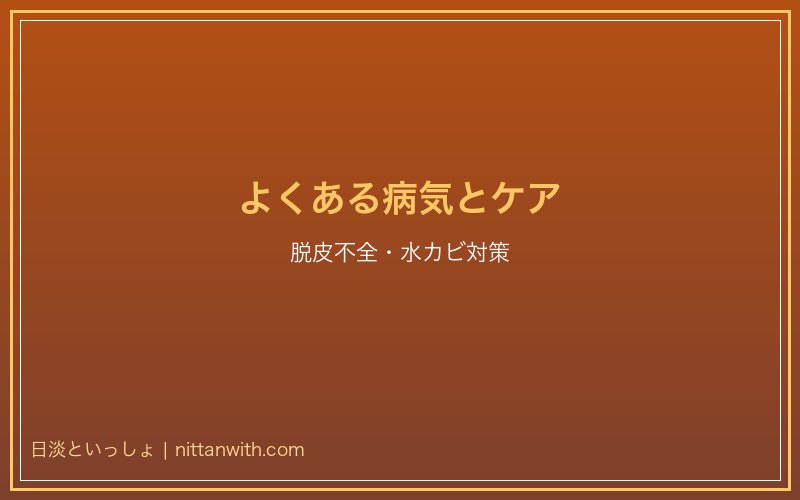 サワガニのよくある病気とケア