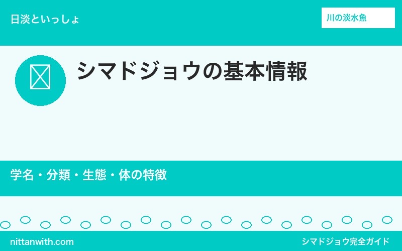 シマドジョウの基本情報