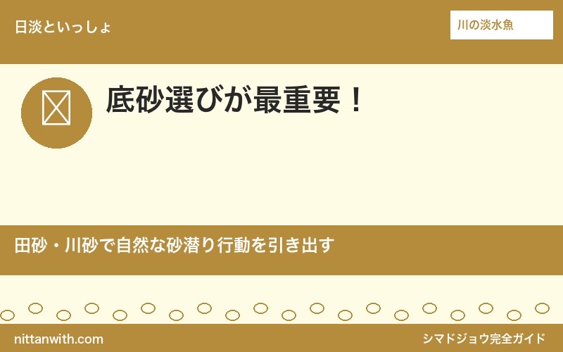 シマドジョウ用の底砂選び