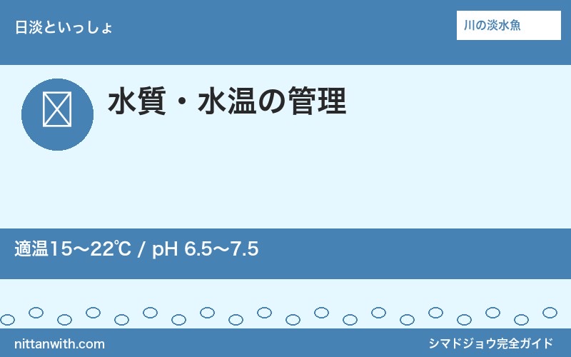 シマドジョウの水質管理