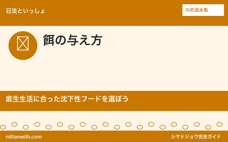 シマドジョウの餌の与え方