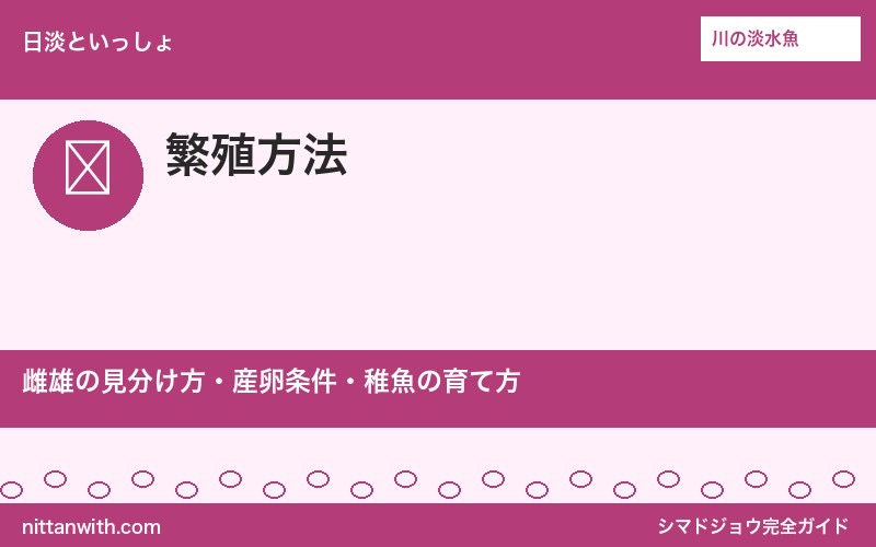 シマドジョウの繁殖方法