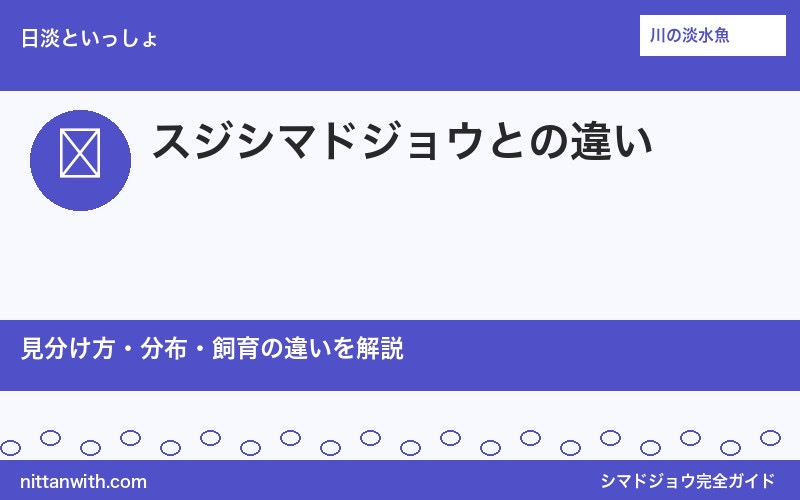 シマドジョウとスジシマドジョウの違い