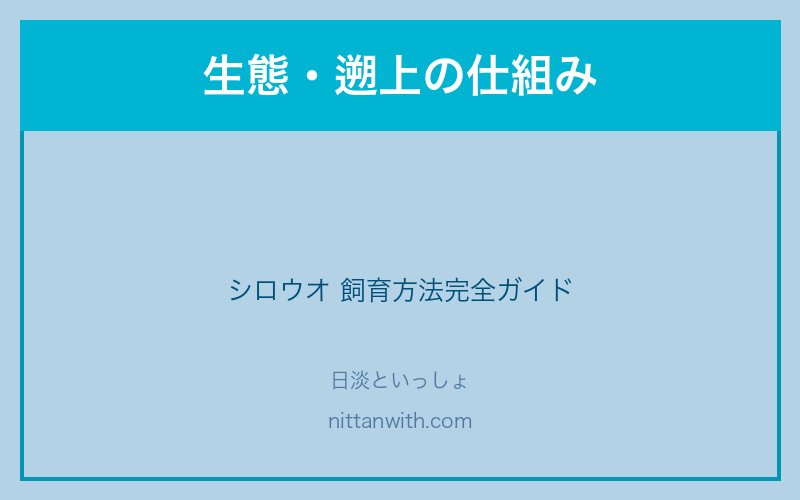 シロウオの生態・遡上の仕組み