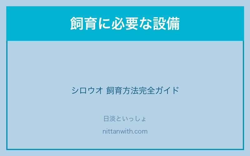 シロウオの飼育に必要な設備