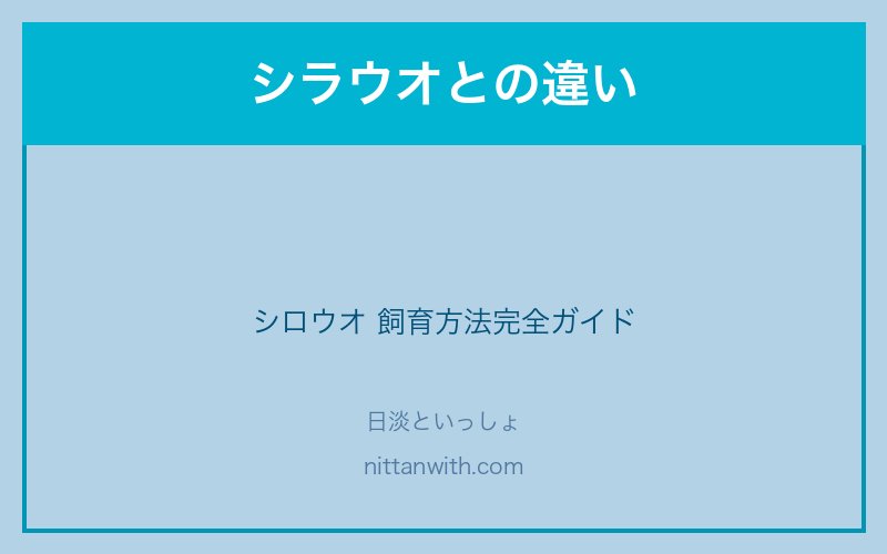 シラウオとシロウオの違い