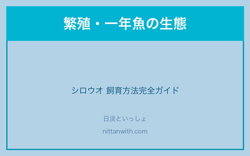 シロウオの繁殖・一年魚の生態