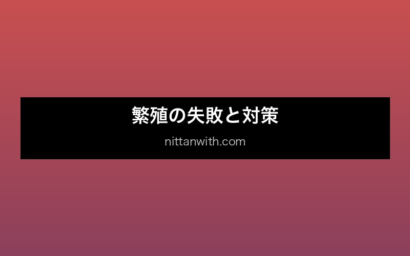チェリーシュリンプの品種と選別