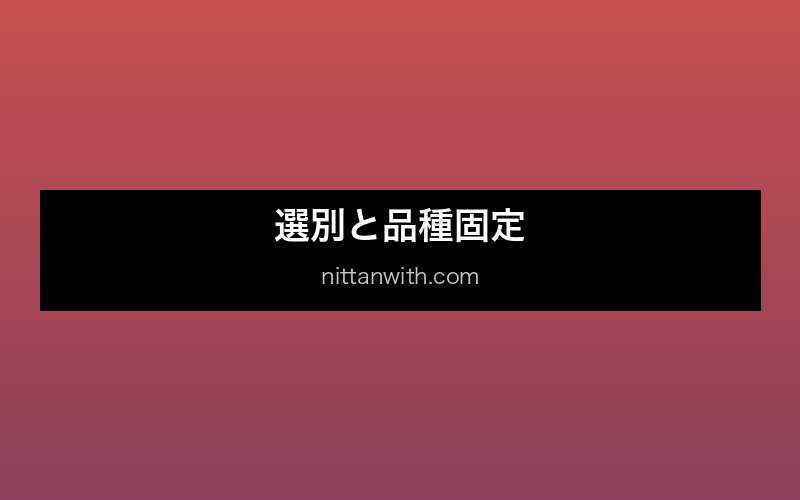 ミナミヌマエビが繁殖しない原因と対策