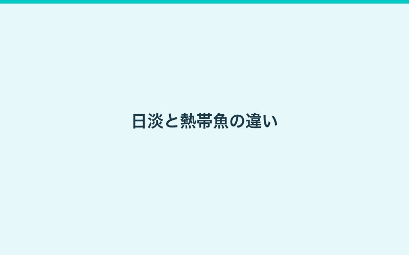 水槽サイズの選び方