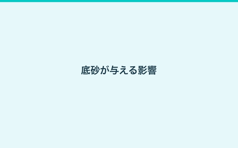 底砂の種類と特徴を徹底比較