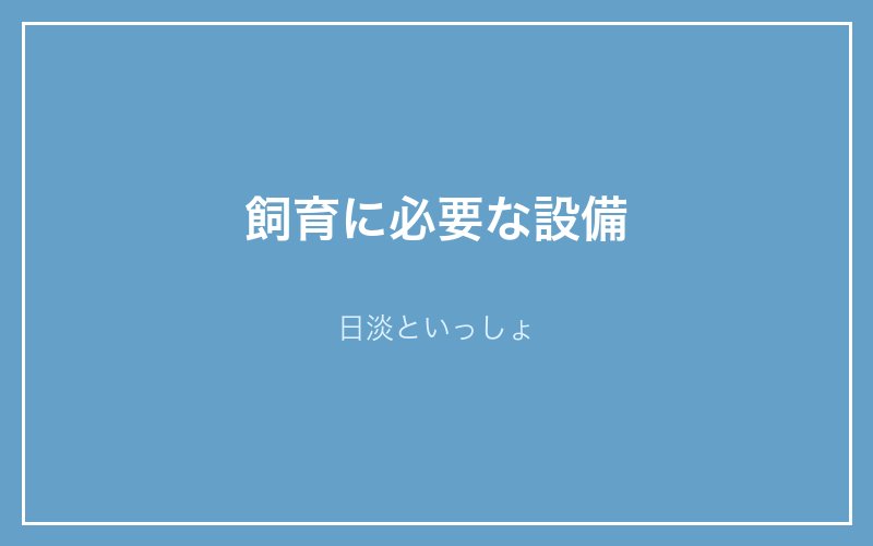 スジエビ飼育に必要な設備