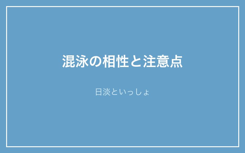 スジエビの混泳の相性と注意点