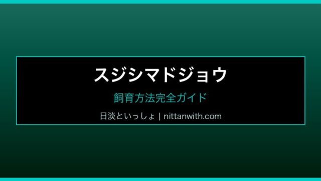 スジシマドジョウ 飼育方法完全ガイド