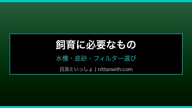 スジシマドジョウ飼育ガイド