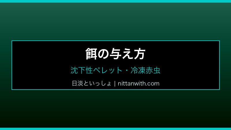 スジシマドジョウ飼育ガイド