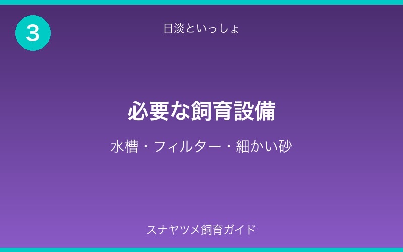 スナヤツメ飼育ガイド - セクション3