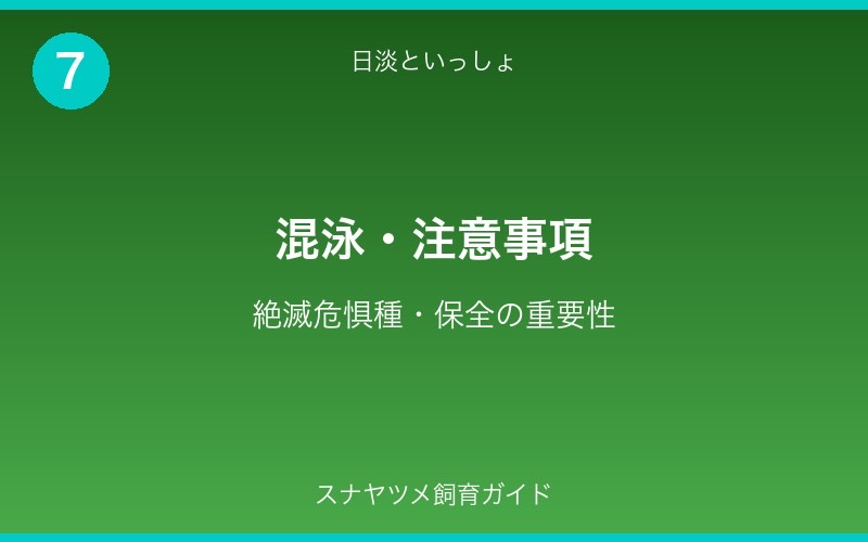 スナヤツメ飼育ガイド - セクション7