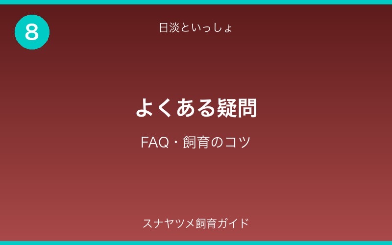 スナヤツメ飼育ガイド - セクション8