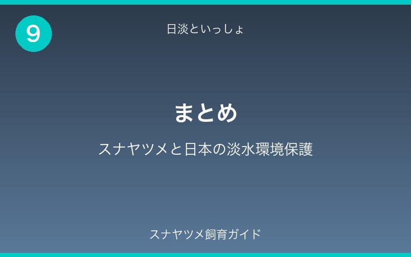 スナヤツメ飼育ガイド - セクション9