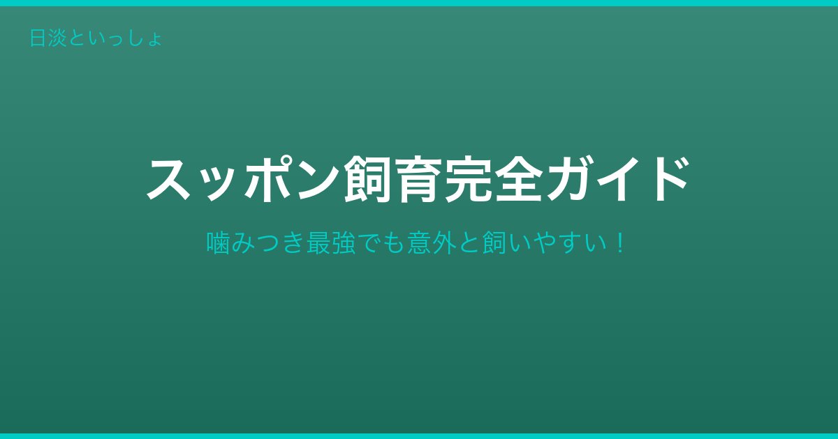 スッポン飼育完全ガイド｜日淡といっしょ