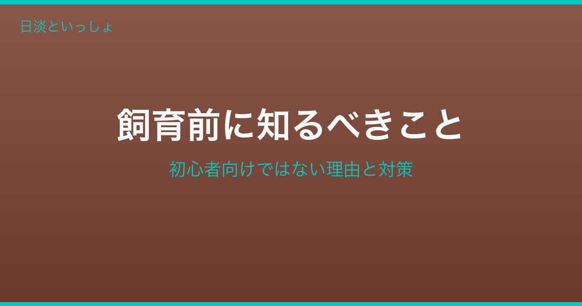 スッポン飼育前に知るべきこと