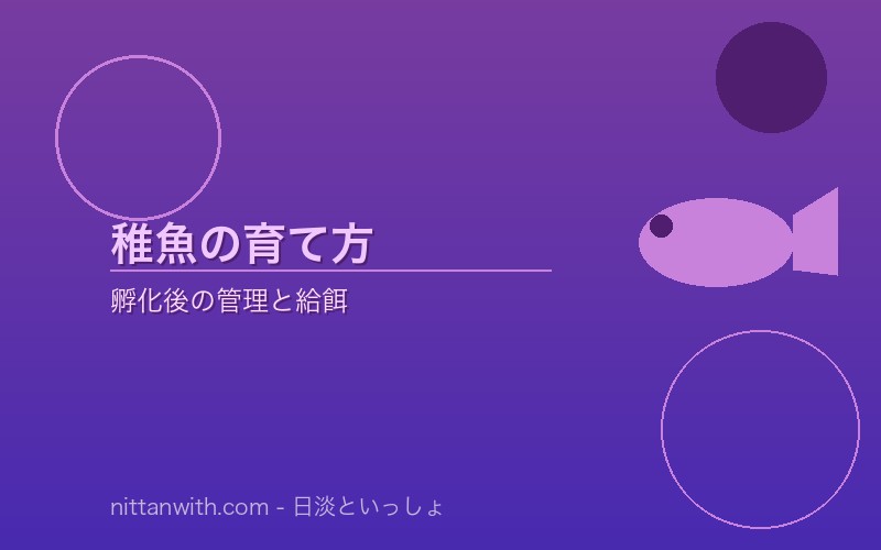 二枚貝の飼育環境セッティング