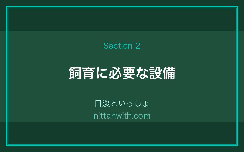 タニシ飼育に必要な設備｜水槽・フィルター・底砂の選び方
