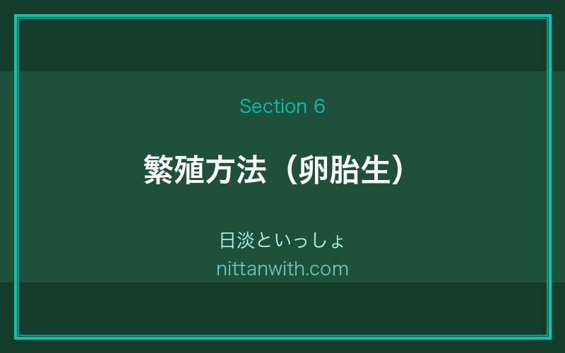 タニシの繁殖方法｜卵胎生の秘密・稚貝の育て方