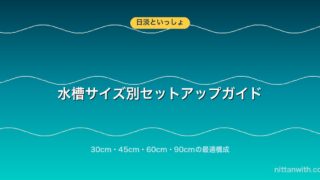 水槽サイズ別セットアップガイド