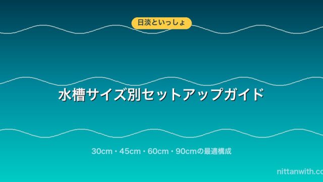 水槽サイズ別セットアップガイド