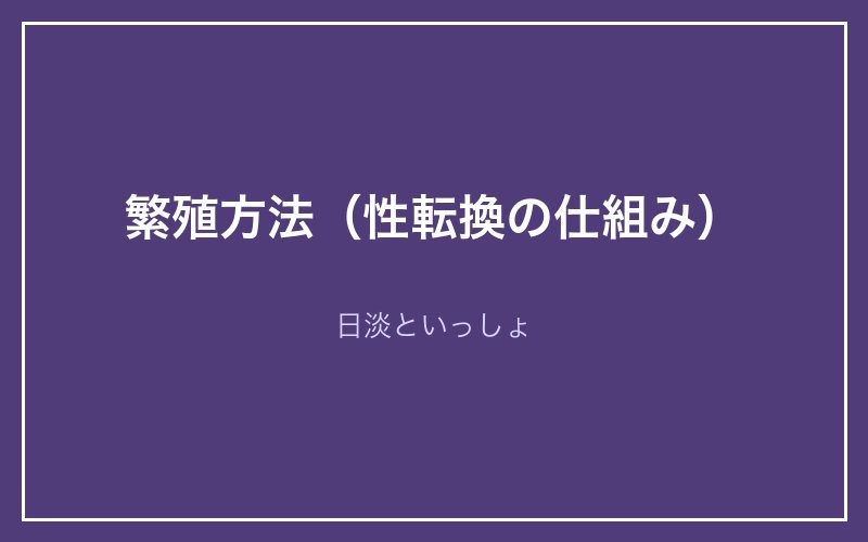 タウナギの繁殖方法と性転換